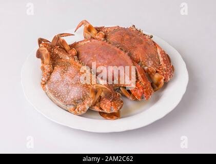 steamed blue crabs on white dish isolated on white background Stock Photo