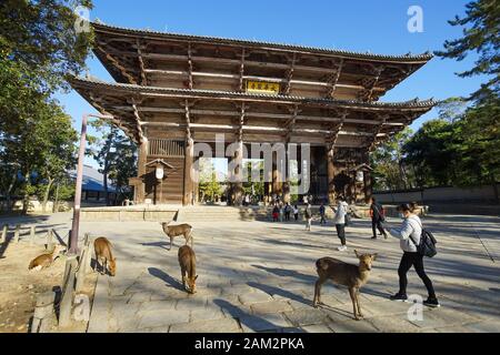 Nara, Japan - December 16, 2019 : The great Wooden gate Of Todaiji Temple, this is the most famous travel destinations of Nara city in Kansai area of Stock Photo