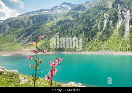 Cyan or turquoise colored glacier lake in the Alps of Tirol, Austria Stock Photo