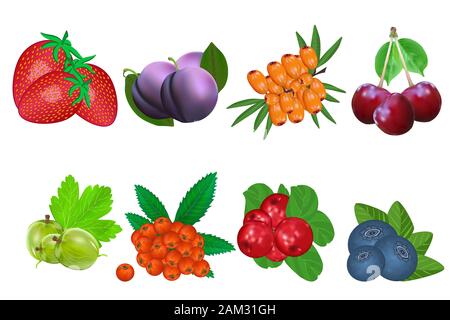 Packaging logo design. Realistic stock vector illustration Stock Vector