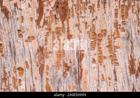 Part of dirty old rusted surface. Multicolor metal textures. Poster. Interior decor. Grunge background Stock Photo