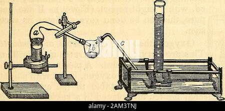 A text-book on agricultural chemistry, for the use of academies, schools, and agriculturalists: comprising that portion of elementary chemistry which is necessary to a full understanding of the changes connected with vegetable organization, and an examination of the different manures, soils, crops, &c. . nute quantity of the other elements, a certainproportion, though very small is absolutely required:except a few of the elements which occur in certainplants only. What are atoms? Why are 16 and 32 given as the atomic weights ofsulphur a-nd zinc ] How many elements are concerned in vegetation ? Stock Photo