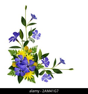 Periwinkle and daisy flowers decoration isolated on white Stock Photo