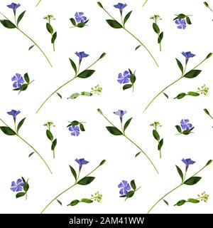 Periwinkle and wild flowers seamless pattern on white background Stock Photo