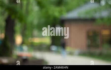 Blurry nature wallpaper. Forest bokeh background. Green defocused backdrop for your design. Stock Photo