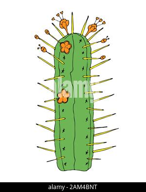 Home cactus plants or flower. Cozy cute element. Exotic or tropical succulent with prickles. Engraved hand drawn in old sketch and vintage doodle Stock Vector