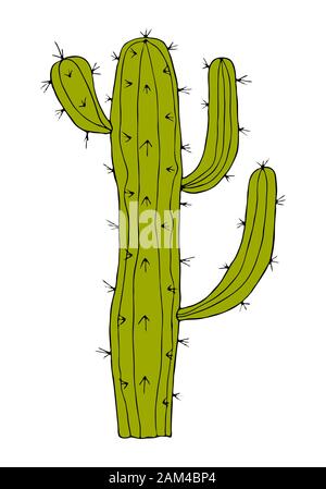 Home cactus plants or flower. Cozy cute element. Exotic or tropical succulent with prickles. Engraved hand drawn in old sketch and vintage doodle Stock Vector