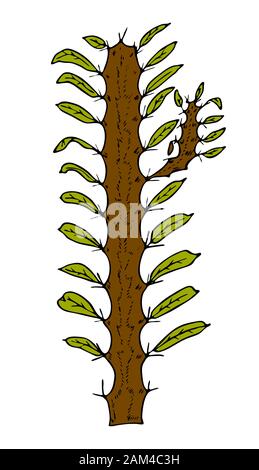 Home cactus plants or flower. Cozy cute element. Exotic or tropical succulent with prickles. Engraved hand drawn in old sketch and vintage doodle Stock Vector