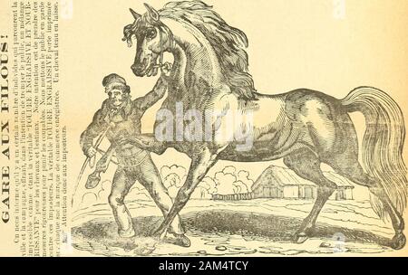 Le quincaillier (Septembre 1888-Aout 1889) . ^ j. < u o; r- Stock Photo