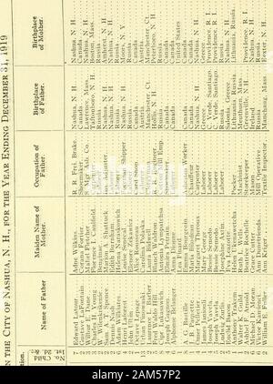Report Of The Receipts And Expenditures Of The City Of Nashua I S C Ffi Cd Cffi K Hire Hire H H Ss W