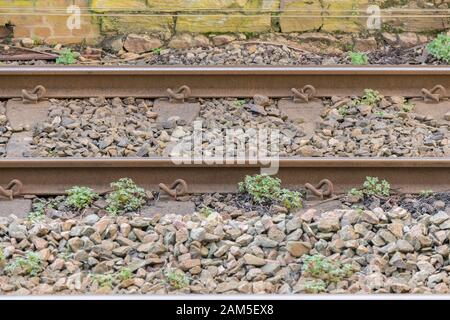 Weeds growing out of the stone ballast of a UK railway line track. Possibly Herb Robert / Geranium robertianum - formerly used in herbal medicine. Stock Photo