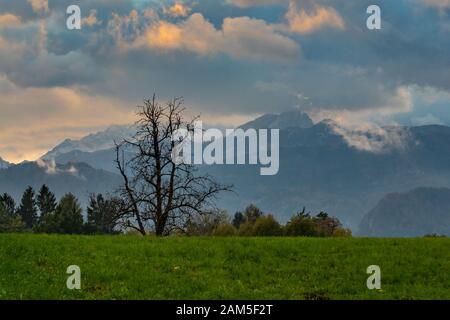 Picturesque sky with orange clouds on sunset and mountains range in the background and lonely tree on green valley in the front Stock Photo