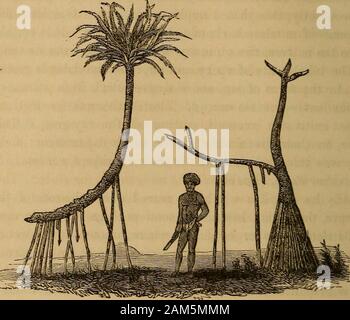 Fiji And The Fijians The Fijian Without Any Trouble But That Of Gathering May Bementioned The Hgolago And The Vutu Two Kinds Of Nuts Concernino The Latter Which Tastes Like Our English Earth Nut The Natives Believethat If The Young Leaves Are Split The Husk