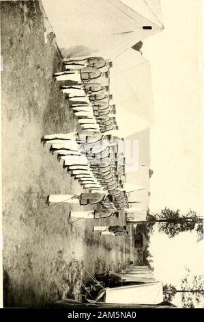Catalog Of Horner Military School J V Whitfield Captain H H Harkins C E Erwin First Lieut E C Welch B M Walton Second Lieut J G Low J S Bryan