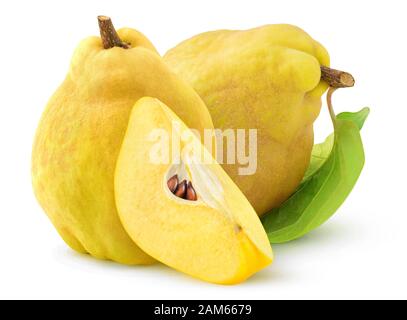 Isolated quince fruits. Two whole quinces and a slice isolated on white background with clipping path Stock Photo