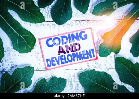 Text sign showing Coding And Development. Business photo text Programming Building simple assembly Programs Stock Photo