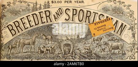 Breeder and sportsman . 767 Market St., SAN FRANCISCO. TOOMBY and FABBR SULKIES The Best Sulkies Made. SPEED SUSTAINING ELIXIR WILL MAKE HORSES GO THE DISTANCE. TRY IT! CATALOGUE FREE.. ol. XXIX. No. 5.So. 313 BOSH BTKEET. SAN FRANCISCO, SATURDAY, AUGUST 1, 1896. SUBSCRIPTIONTHREE DOLLARS ATEiE THE RISE AND FALL IN HORSE VALUES Causes Fully Set Forth—The Light of Hope Ahead Growing Stronger and Brighter as Time Rolls On. [by ARNAREE.] There seems to be such a feeliDg of insecurity amoDg own-ers and breeders of horses regarding the prospects that a fewfacts regarding the situation may not be ou Stock Photo