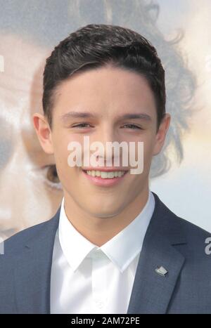 Harry Collett 01/11/2020 The Premiere of 'Dolittle' held at The Regency Village Theatre in Los Angeles, CA Photo by Izumi Hasegawa/HollywoodNewsWire.co Credit: Hollywood News Wire Inc./Alamy Live News Stock Photo