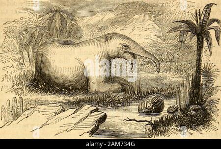 Chambers's miscellany of useful and entertaining tracts . Restored Figure of the Dinotherium. Stock Photo