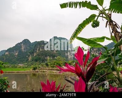 View of limestone karst mountains across fish pond, Tam Coc, Ninh Binh, Vietnam, Asia