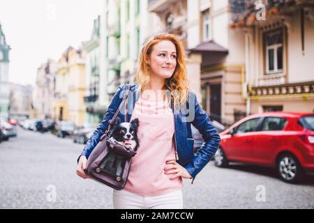 Chihuahua dog carried in pet bag. Cute dog in transparent pet travel carrier. Caucasian woman holding a carrying bag with pet on the street. The owner Stock Photo