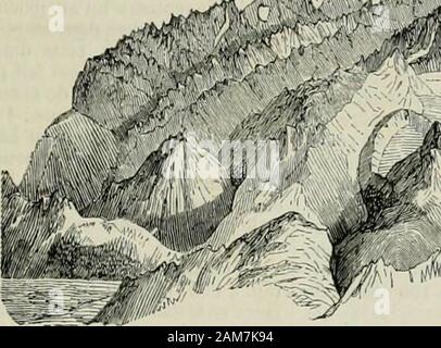 L'illustration : journal universel . tesces beautés terribles •ou gracieuses, le mont Blanc captive constamment lattention;il est le point de mire de tous les regards, lobjet de toutesles questions ; son sommet devient le but de lambition detous ceux qui, familiarisés avec les grandes scènes des mon-tagnes, veulent con-naître le plus impo-sant spectacle quil:soit possible de se?donner en Europe,lia vue du sommetde ce colosse des Al- rpes. Dès sa jeunesse,M. Séné aimait lesmontagnes; pendant(longtemps, cet a-?mour se bornait aune muette contem-plation; mais enfinil voulut reproduirece qui lavai Stock Photo