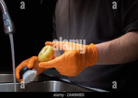 Washing and rinsing potatoes in preparation for cooking. Model holding potato wearing orange disposable rubber gloves. Stock Photo