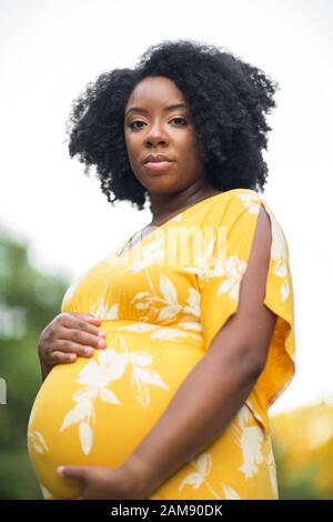 beautiful pregnant woman Stock Photo - Alamy