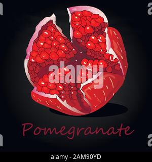 Pomegranate hand drown vector illustration isolated on black background. Stock Vector