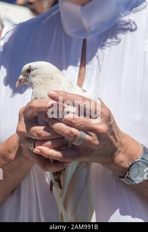 Adelaide, Australia. 12 January 2020. A dove is released  during the ceremony of  the blessing of the waters on Henley pier Adelaide marking the orthodox Epiphany Day which commemorates the baptism of Jesus in the Jordan River. Credit: Amer Ghazzal/Alamy Live News Stock Photo