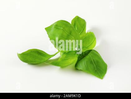 Fresh basil leaves on white background Stock Photo