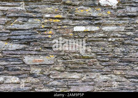 Cornish slate wall, Cornwall, UK Stock Photo