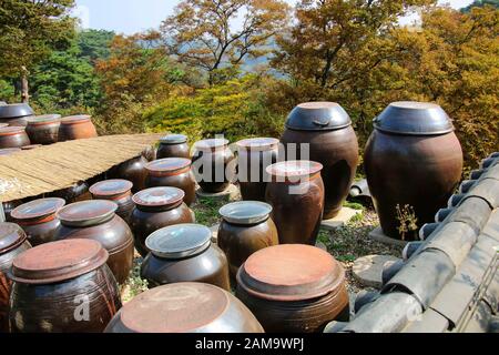 INCHEON, SOUTH KOREA - OCTOBER 21,2019: Dozens of large clay pots hold fermenting kimchi on the territory to Jeondeungsa Temple in Ganghwa-gun, Incheo Stock Photo