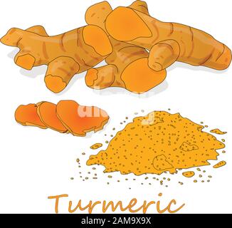 Turmeric (Curcuma longa Linn) powder and root on white background vector illustration. Stock Vector