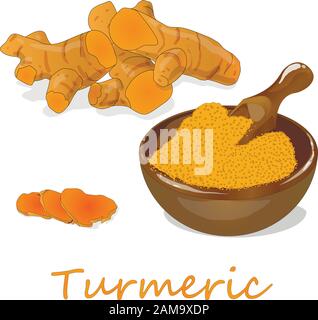 Turmeric (Curcuma longa Linn) powder and root on white background vector illustration. Stock Vector