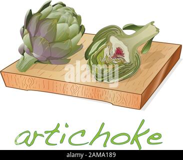 Artichoke on plate vector illustration set. Image isolated on white background. Stock Vector