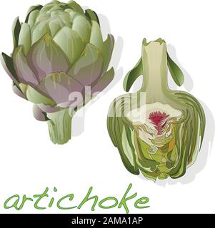 Artichoke on plate vector illustration set. Image isolated on white background. Stock Vector