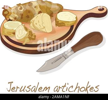 Topinambour. Jerusalem artichoke on plate vector illustration set. White background. Stock Vector