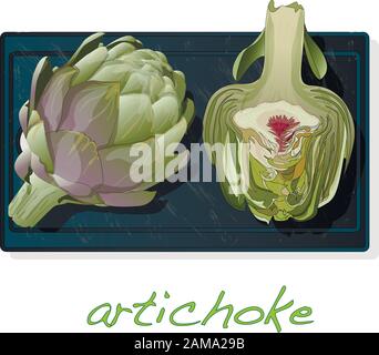 Artichoke on plate vector illustration set. Image isolated on white background. Stock Vector