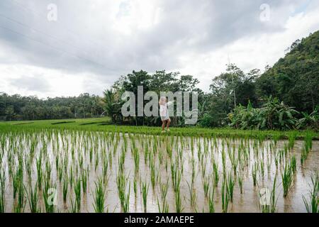 Little child walks through rice fields overflowed by water taking small pathway Stock Photo