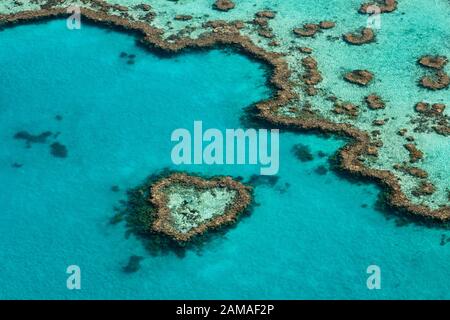Famous Heart Reef in the Great Barrier Reef. Stock Photo