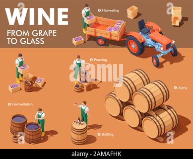 Vector isometric wine making process Stock Vector