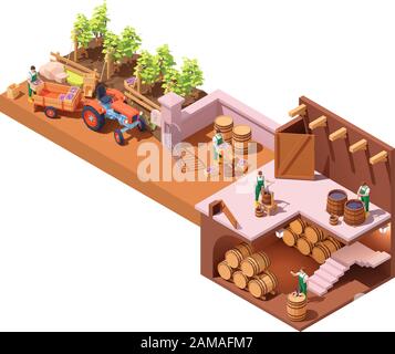 Vector isometric winery and wine making Stock Vector