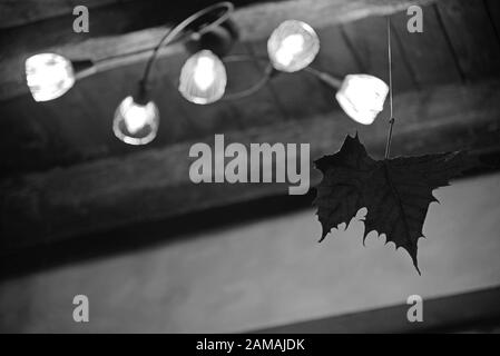 Decorative leaf hanging from the ceiling next to light fixture. Concept : interior decoration. Stock Photo