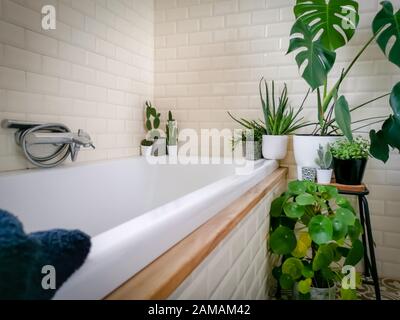 Bright bathroom with subway tiles and a large variety of green potted plants such as a pancake plant and swiss cheese plant creating a green oasis