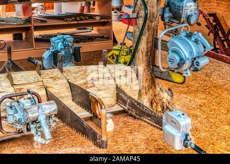 A collection of chainsaws cutting into a log, Geraldine Museum, Geraldine, New Zealand Stock Photo