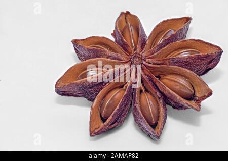 Close-up of Star Anise, seed capsule of an ever-green shrub, used for baking, cooking of chinese and indian food. Main ingredient of five-spice powder Stock Photo