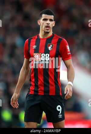 Bournemouth's Dominic Solanke during the Premier League match at