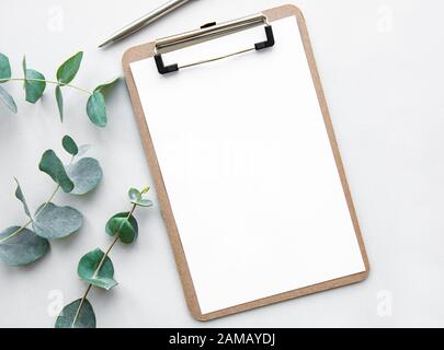 Mock up clipboard and green eucalyptus leaves on white background top view.  copy space. flat lay Stock Photo