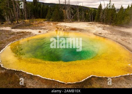 Morning Glory Pool im Yellowstone Nationalpark Stock Photo